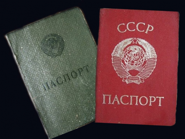 В России в ближайшее время готовится масштабная реформа системы паспортов